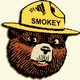 Smokey The Bear Meme Template