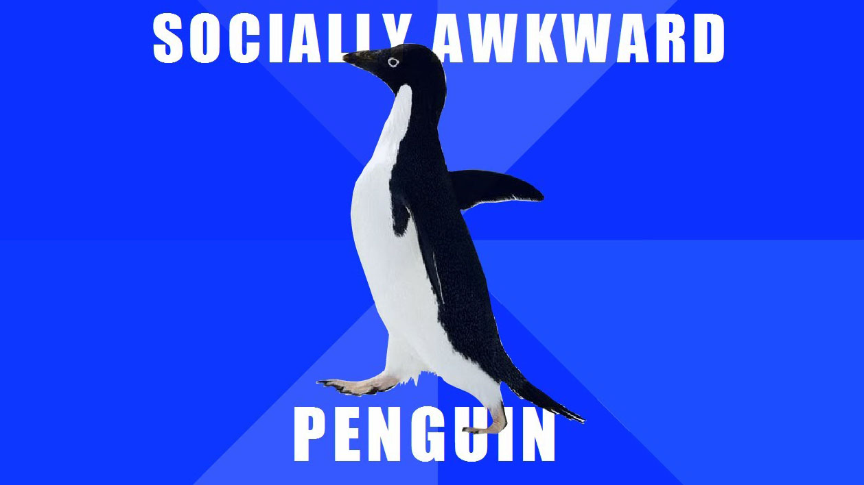 Socially Awkward Penguin