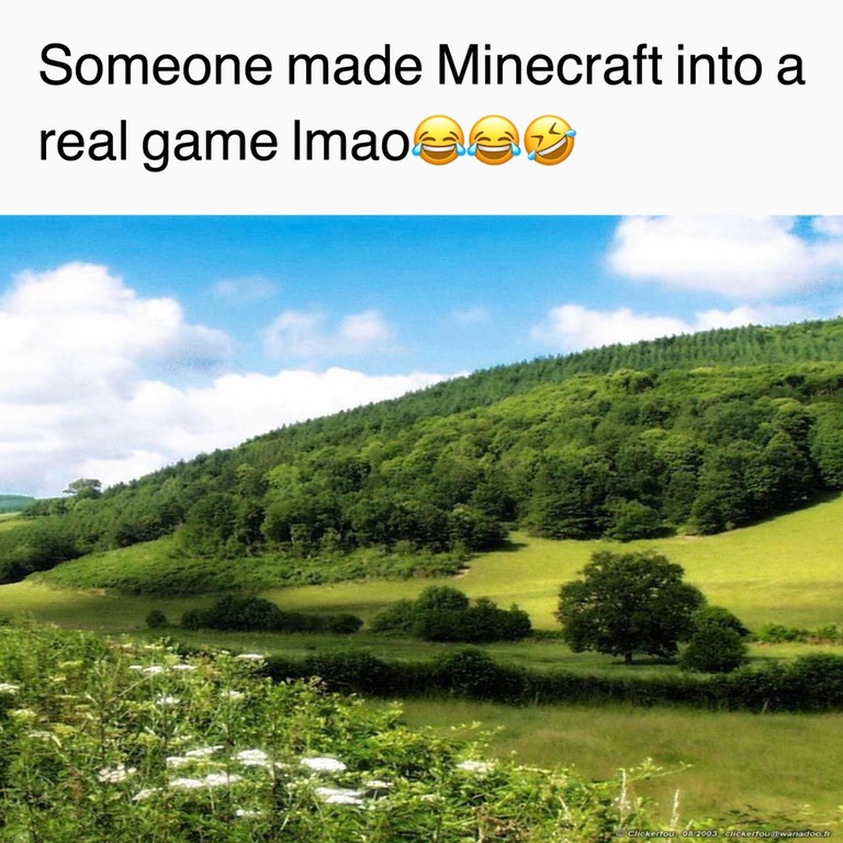 Someone Turned This Into a Real Game