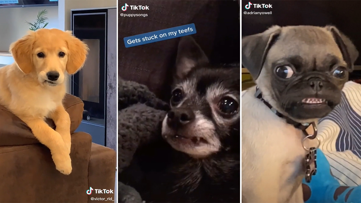 Sometimes My Lip Gets Stuck On My Teefs Meme Template