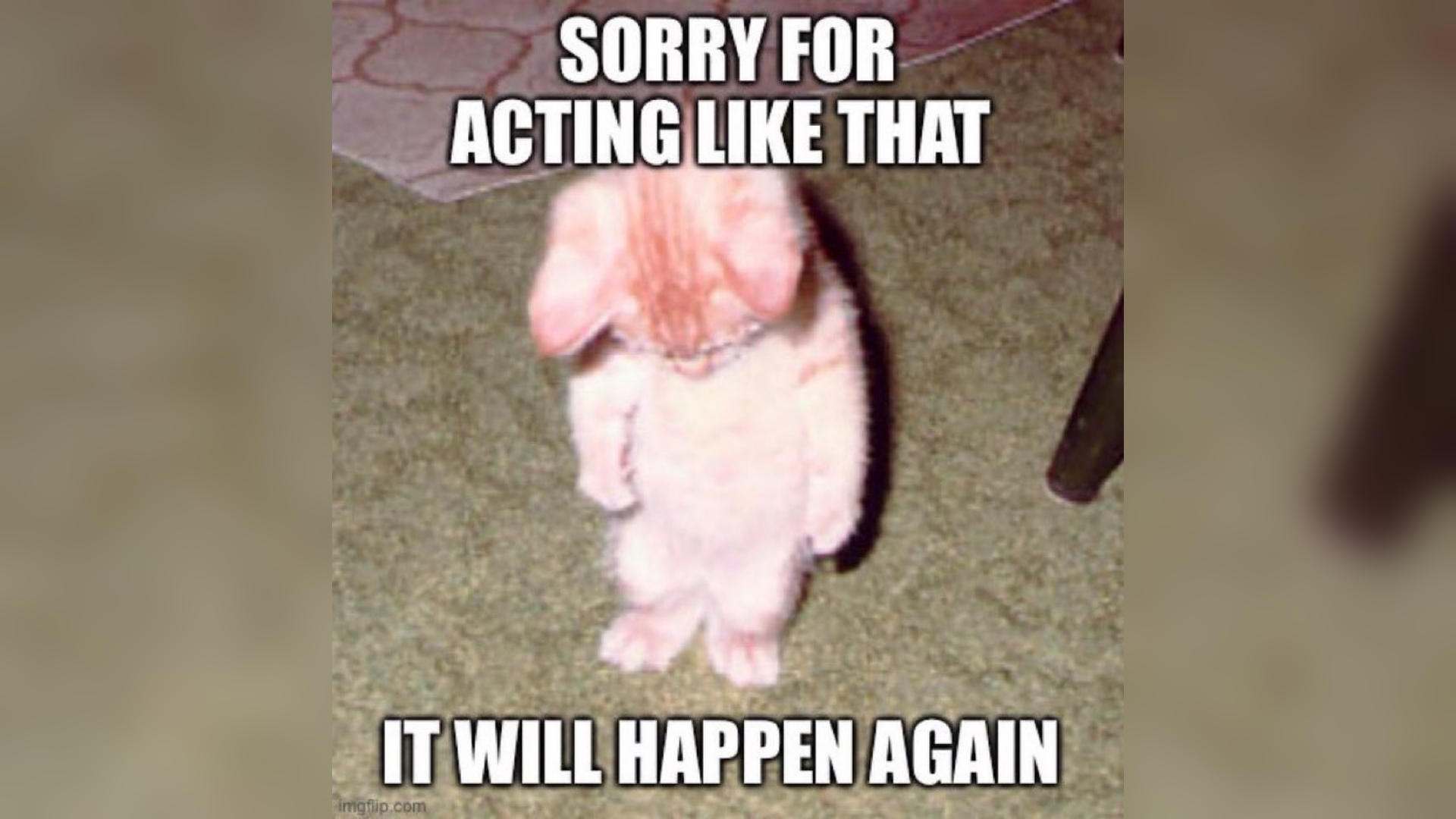 Sorry For X, It Will Happen Again