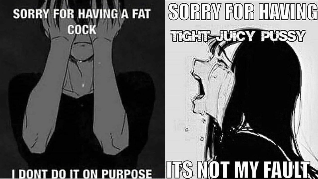 Sorry for X, It's Not My Fault Meme Template