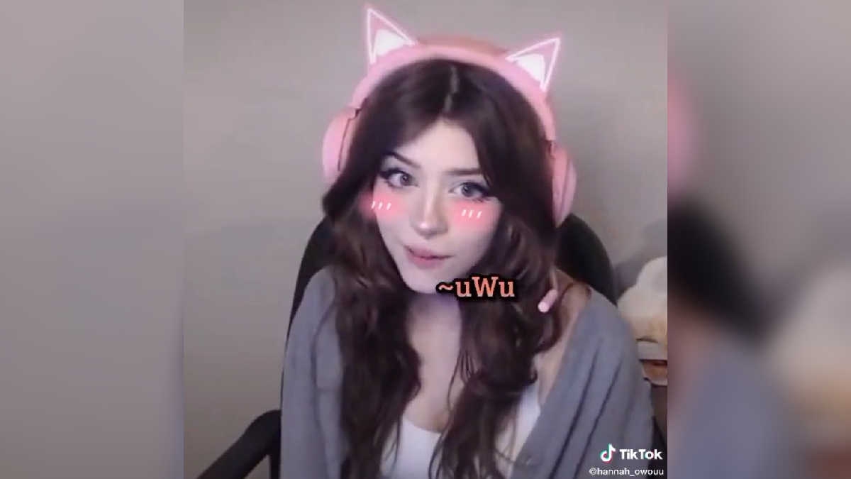 Sorry I Don't Talk In An UWU Voice Meme Template