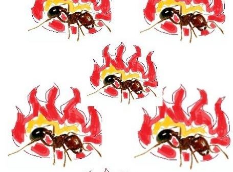 Spicy Boys Meme Template