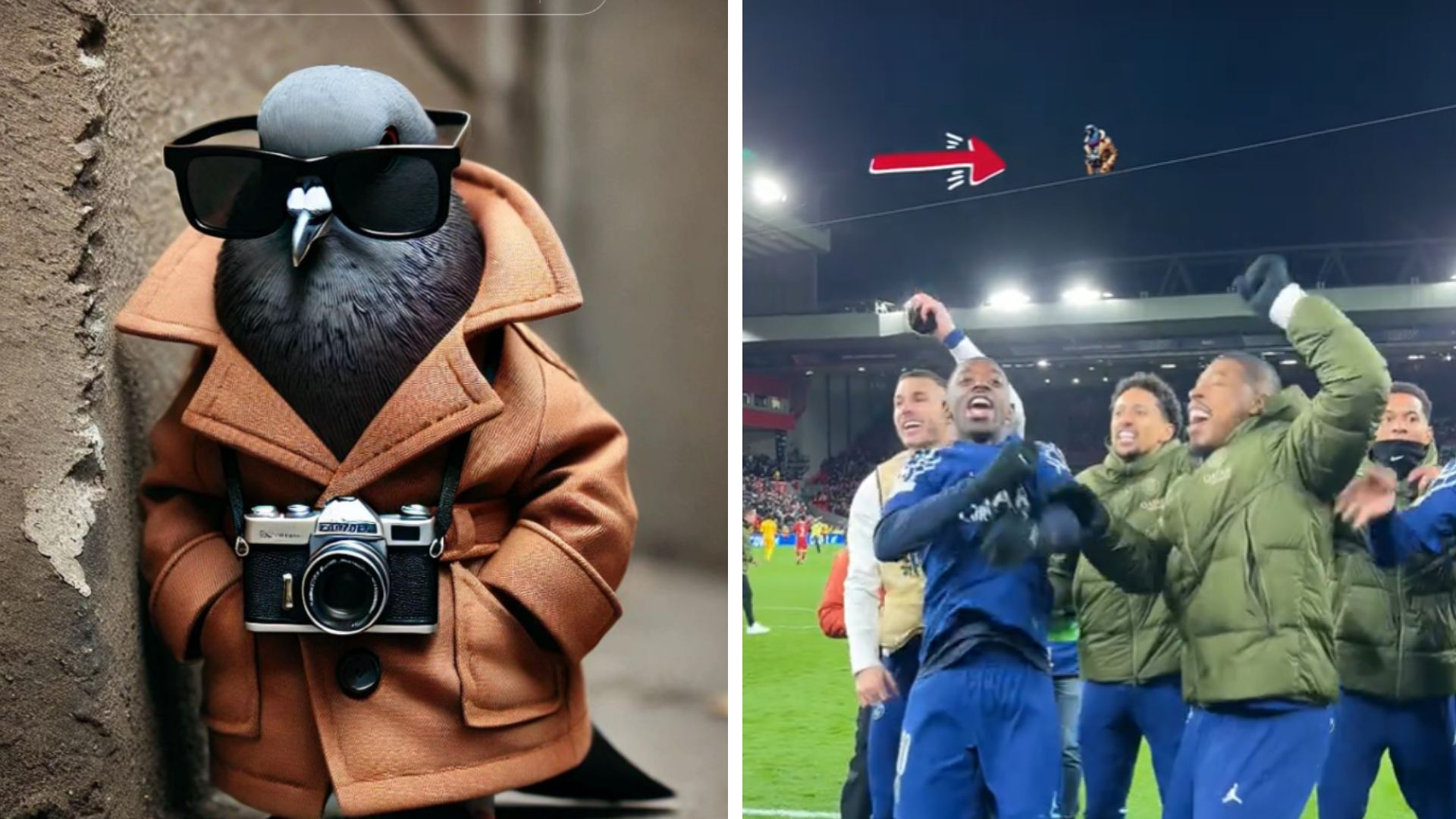 Spijuniro Golubiro (Balkan Brainrot) Meme Template