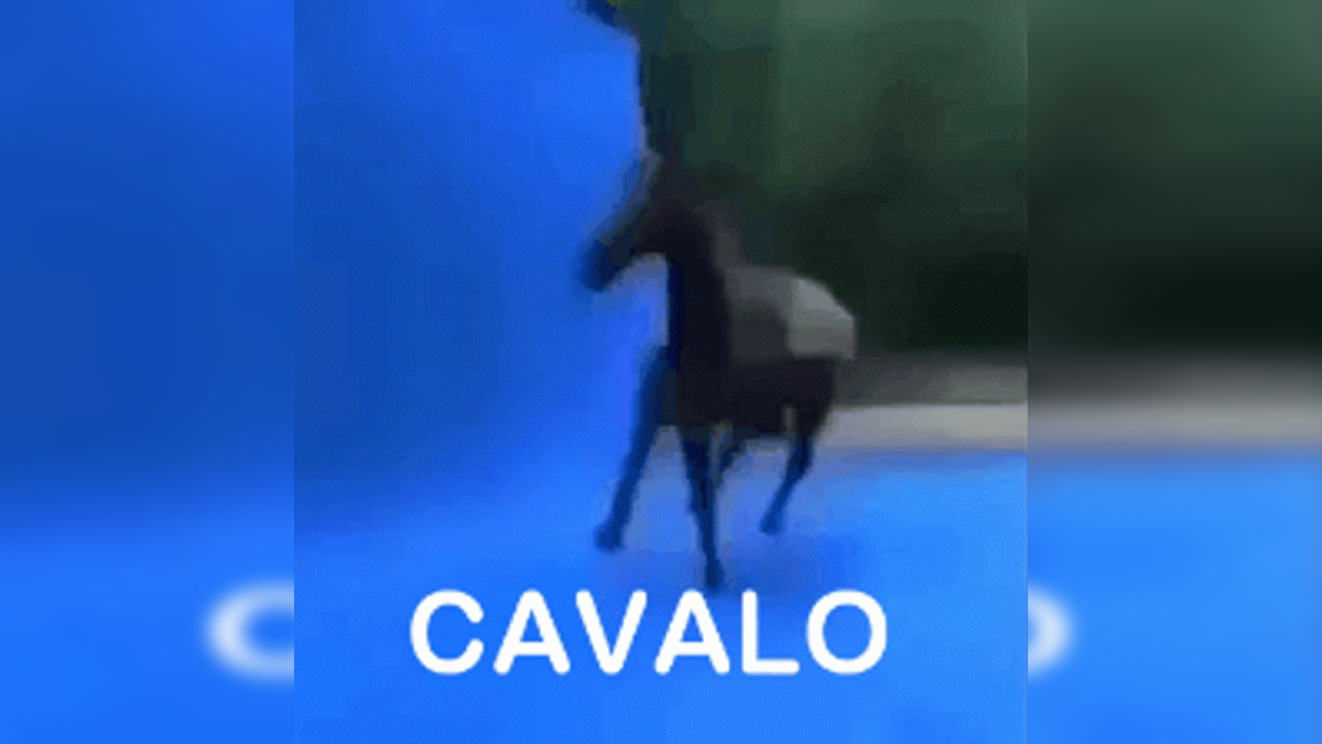 Spinning Horse / Cavalo