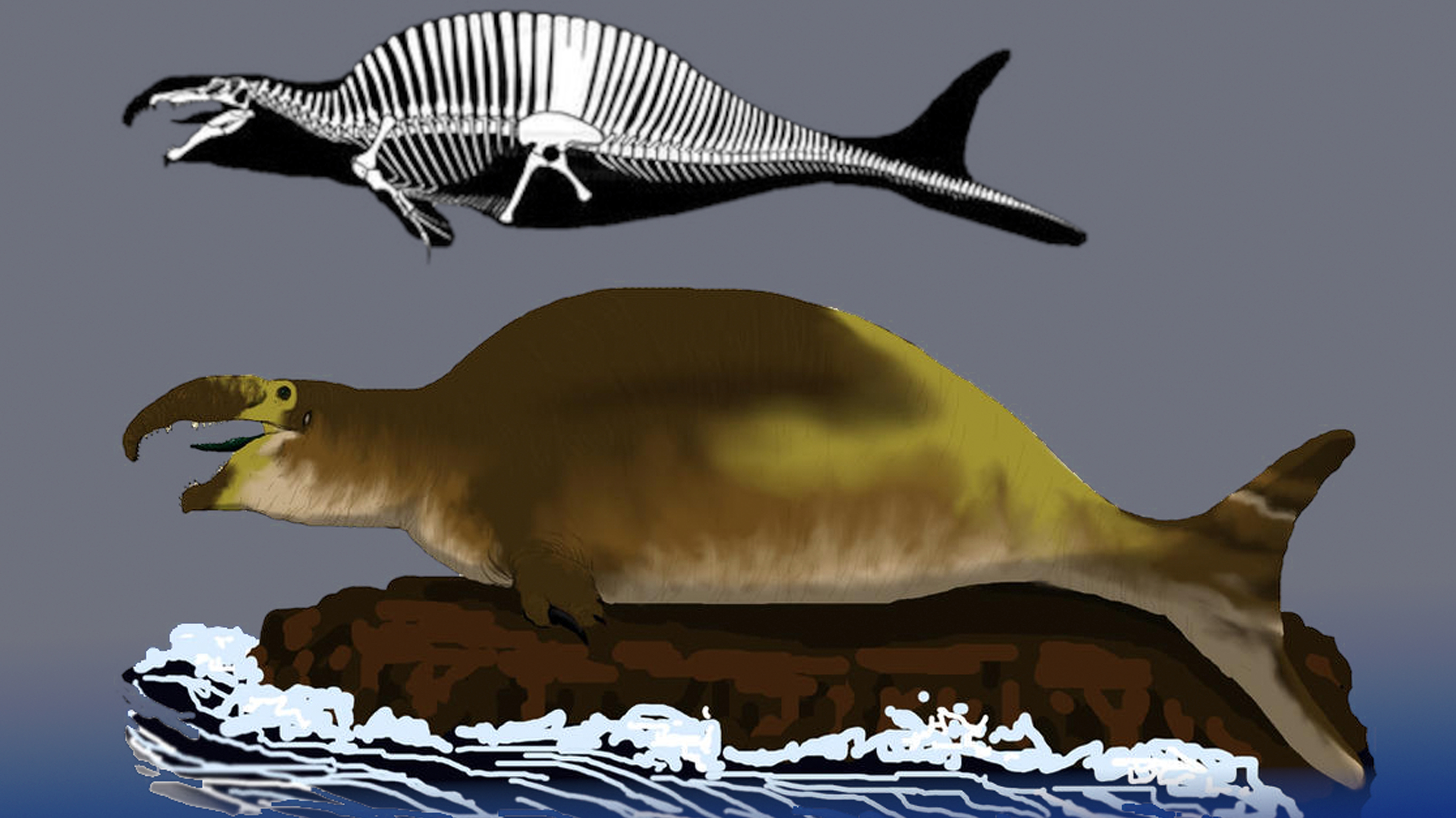 Spinofaarus / Spinosaurus Nerf Meme Template