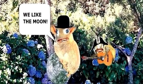 Spongmonkeys Meme Template