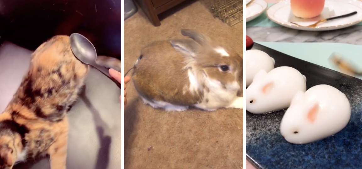 Spoon Spank Meme Template