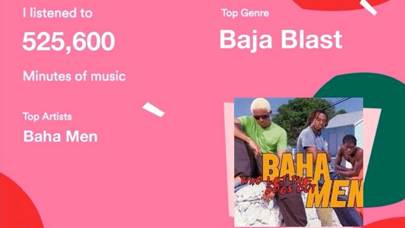 Spotify Wrapped Parodies