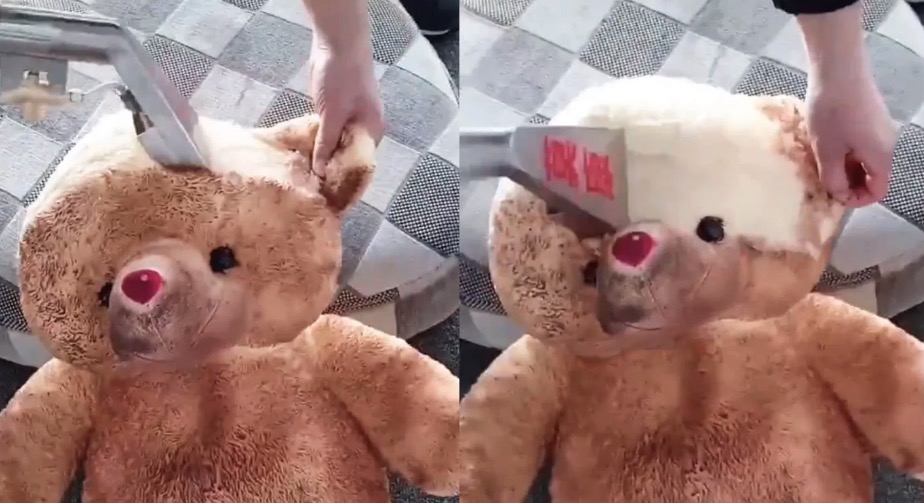 Steam Cleaned Teddy Bear Meme Template