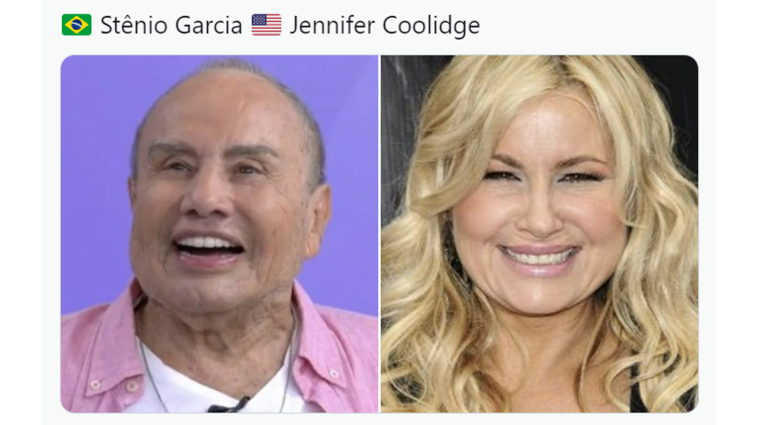 Stênio Garcia's Facial Harmonization Meme Template