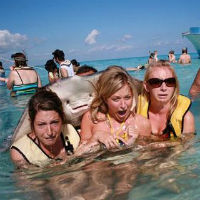 Stingray Photobomb Meme Template