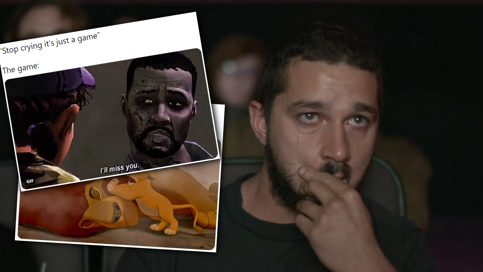 Stop Crying, It's Just a Movie / It's Just a Game Meme Template