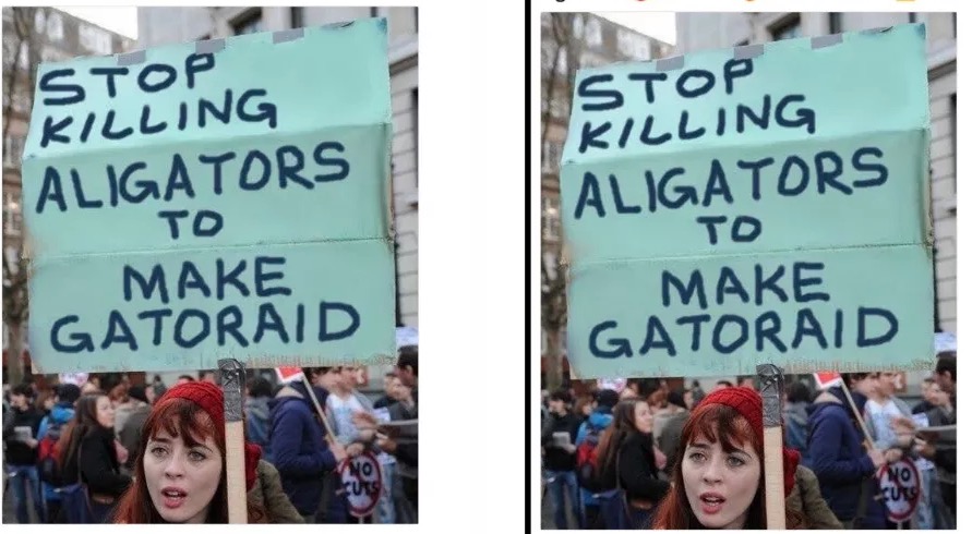 Stop Killing Alligators to Make Gatorade