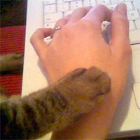 Stop Posting Meme Template