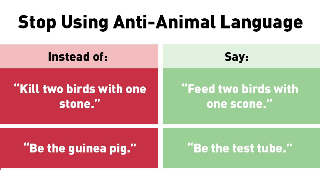 Stop Using Anti-Animal Language Meme Template
