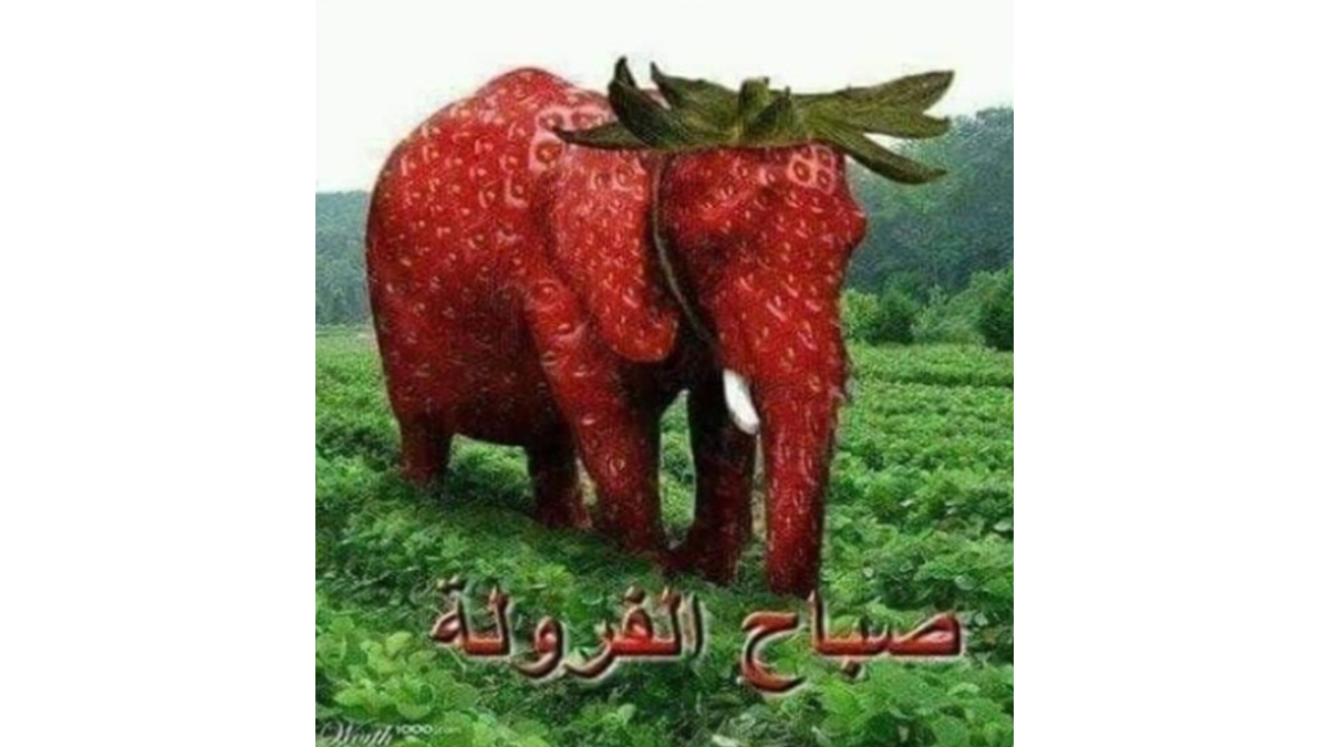 Strawberry Elephant Meme Template