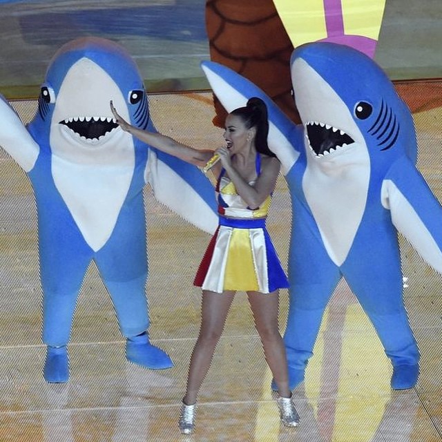 Super Bowl XLIX Halftime "Left Shark" Meme Template