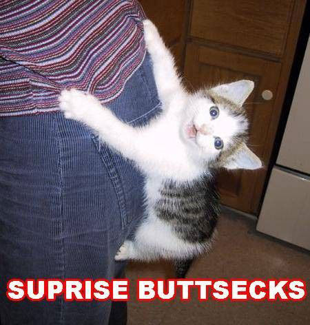 Surprise Buttsecks