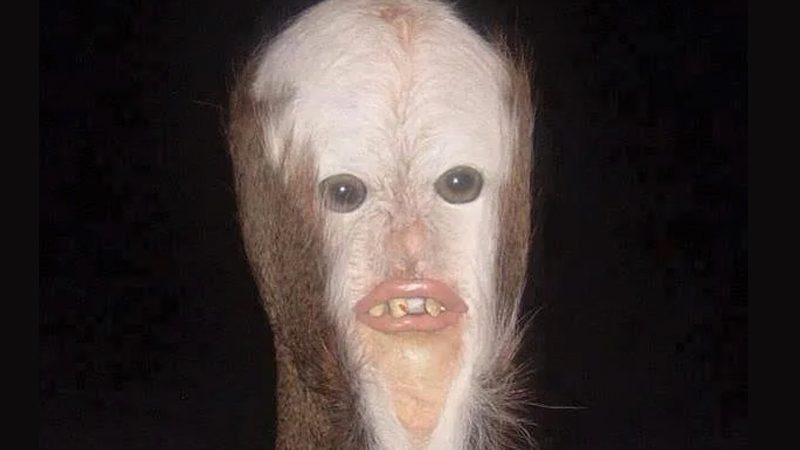 Swamp Booger Meme Template