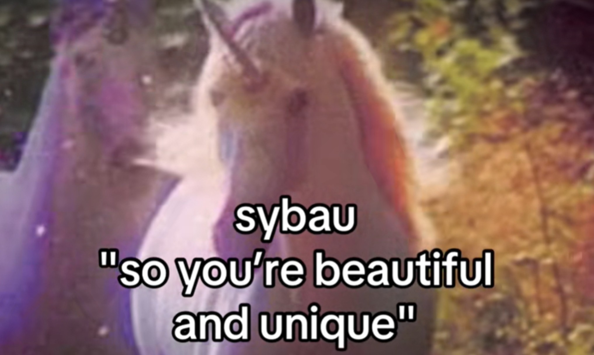 SYBAU Meme Template