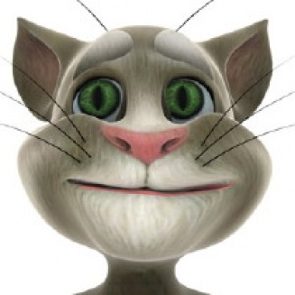Talking Tom and Friends