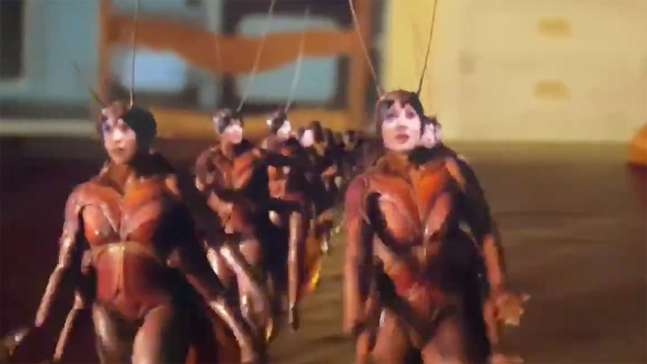 Tap Dancing Cockroaches Meme Template