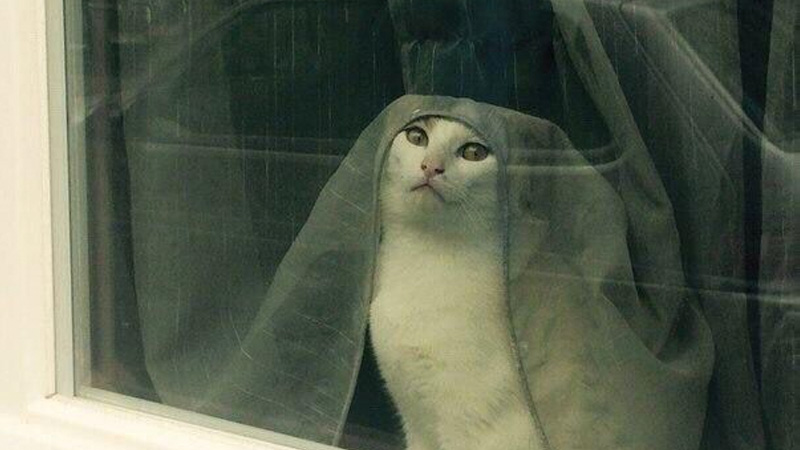 "Tell Cersei. I Want Her to Know It Was Me"