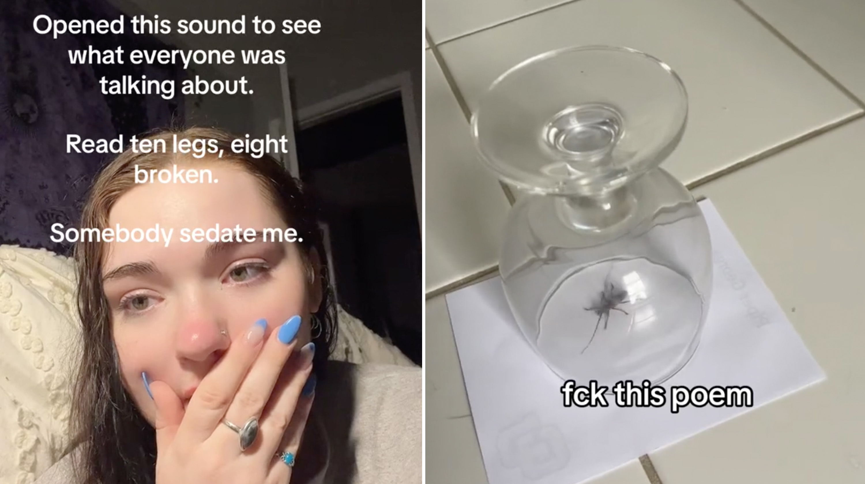 "Ten Legs, Eight Broken" / Spider Poem TikTok Meme Template