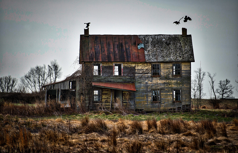 That Evil Farming Game Meme Template