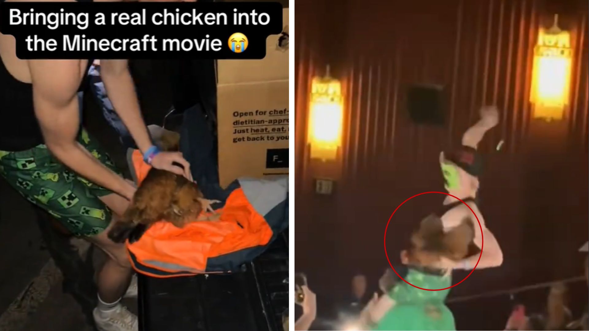 The Chicken Jockey Incident