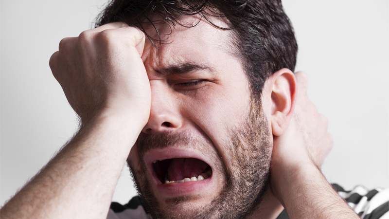 The Clitoris Has 8,000 Nerve Endings Meme Template