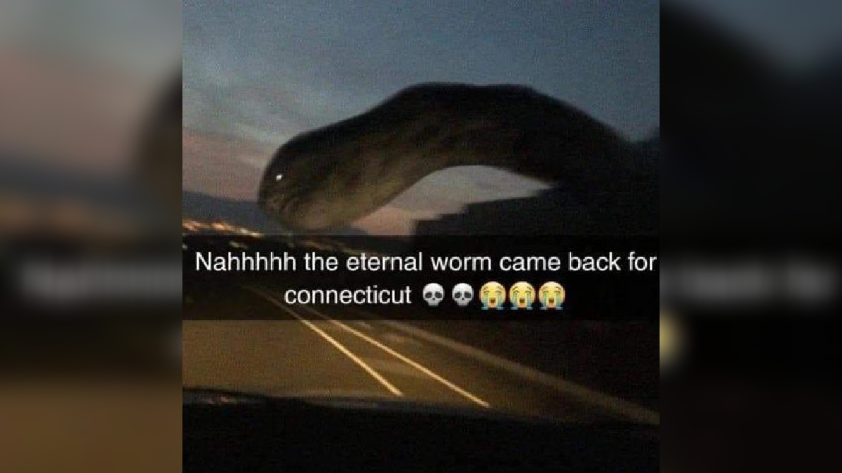 The Eternal Worm Came Back For Connecticut Meme Template