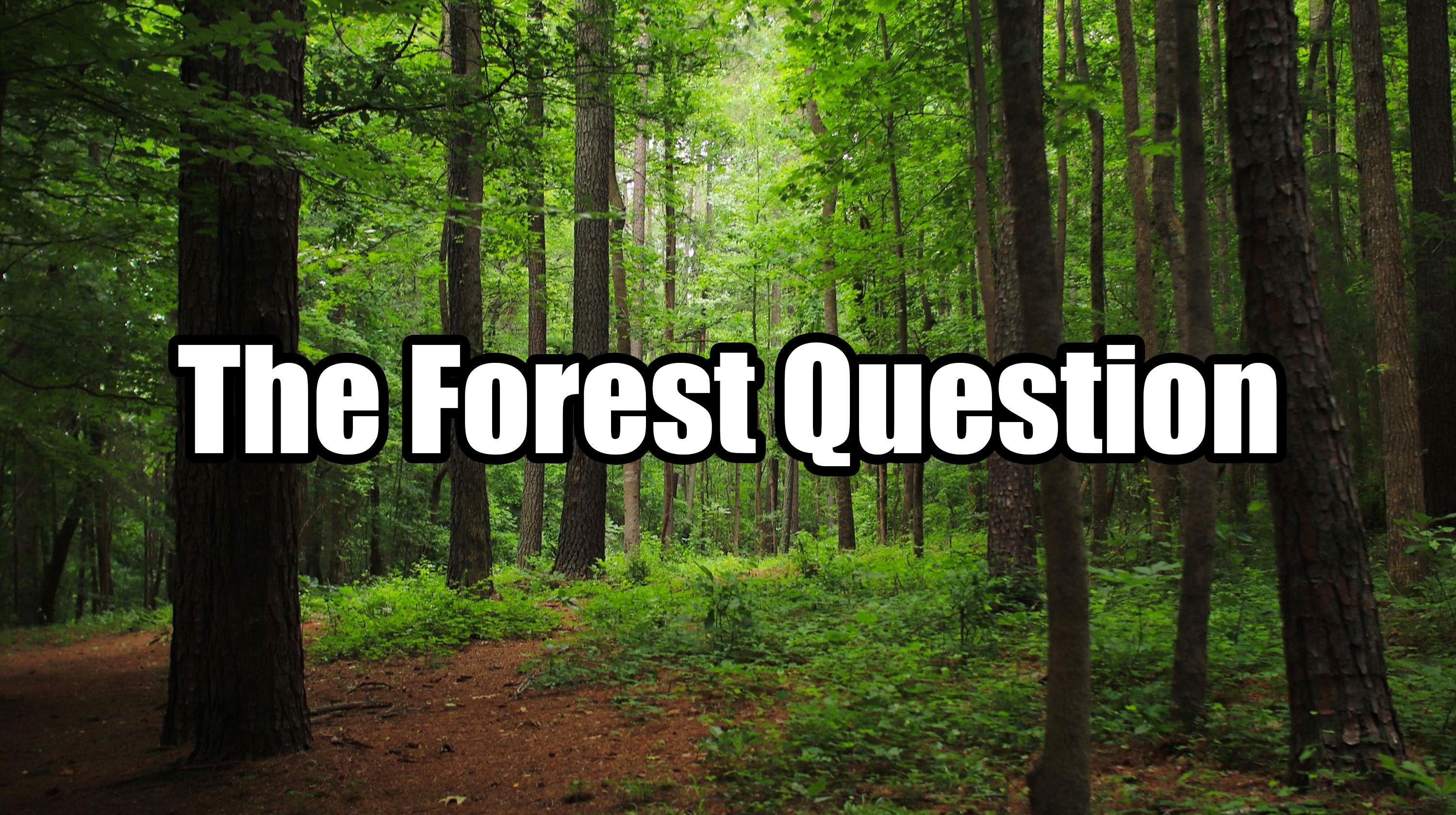 The Forest Question