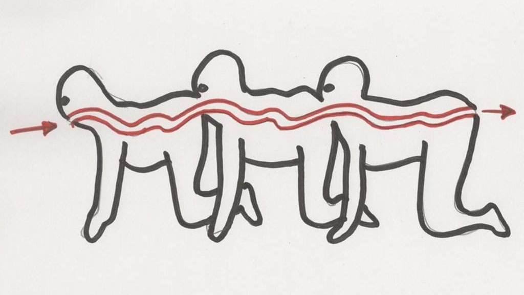 The Human Centipede