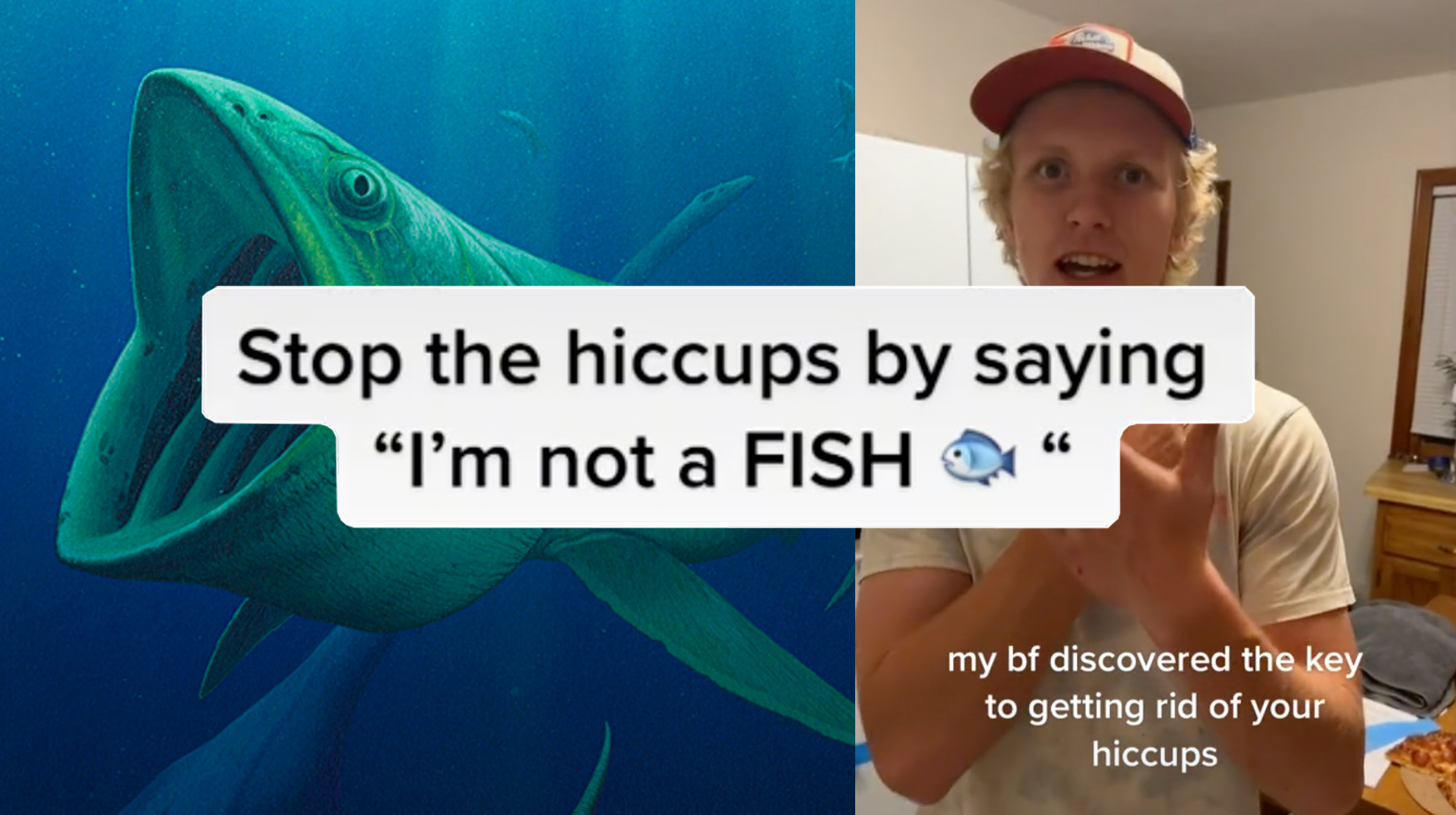 The "I Am Not A Fish" Hiccups Cure