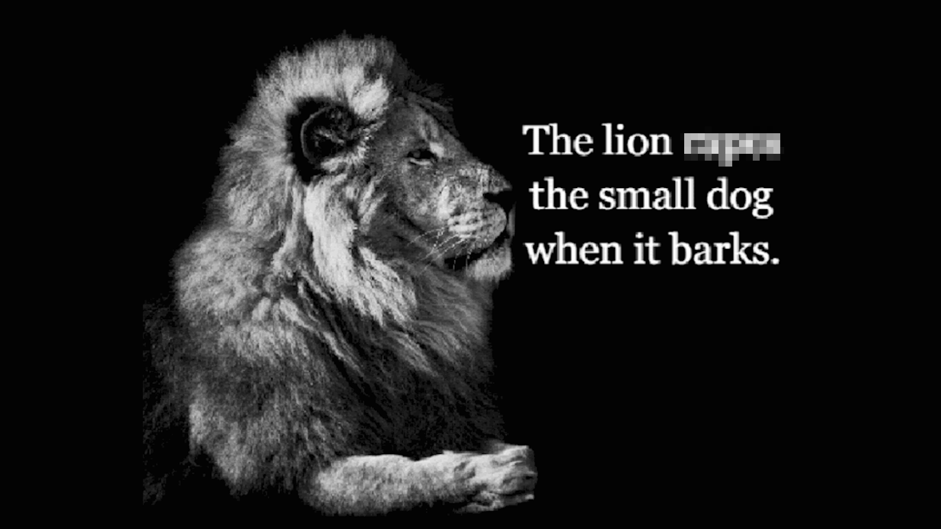 The Lion Rapes the Small Dog When It Barks