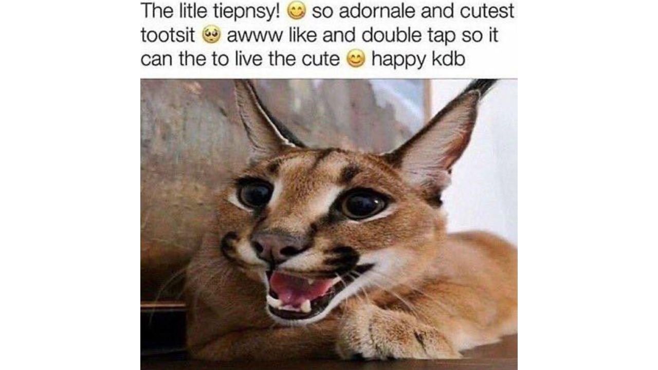 The Litle Tiepnsy! Meme Template