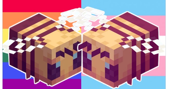 The Minecraft Bee Is Trans Meme Template