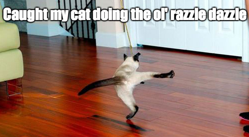 The Ol Razzle Dazzle