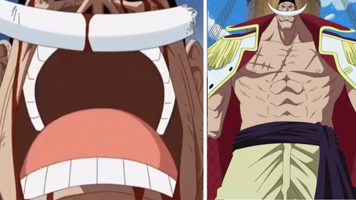 The One Piece Is Real Meme Template