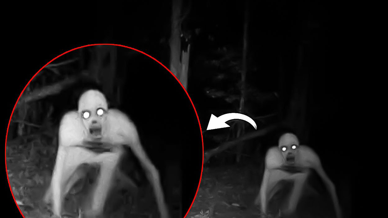 The Rake Meme Template