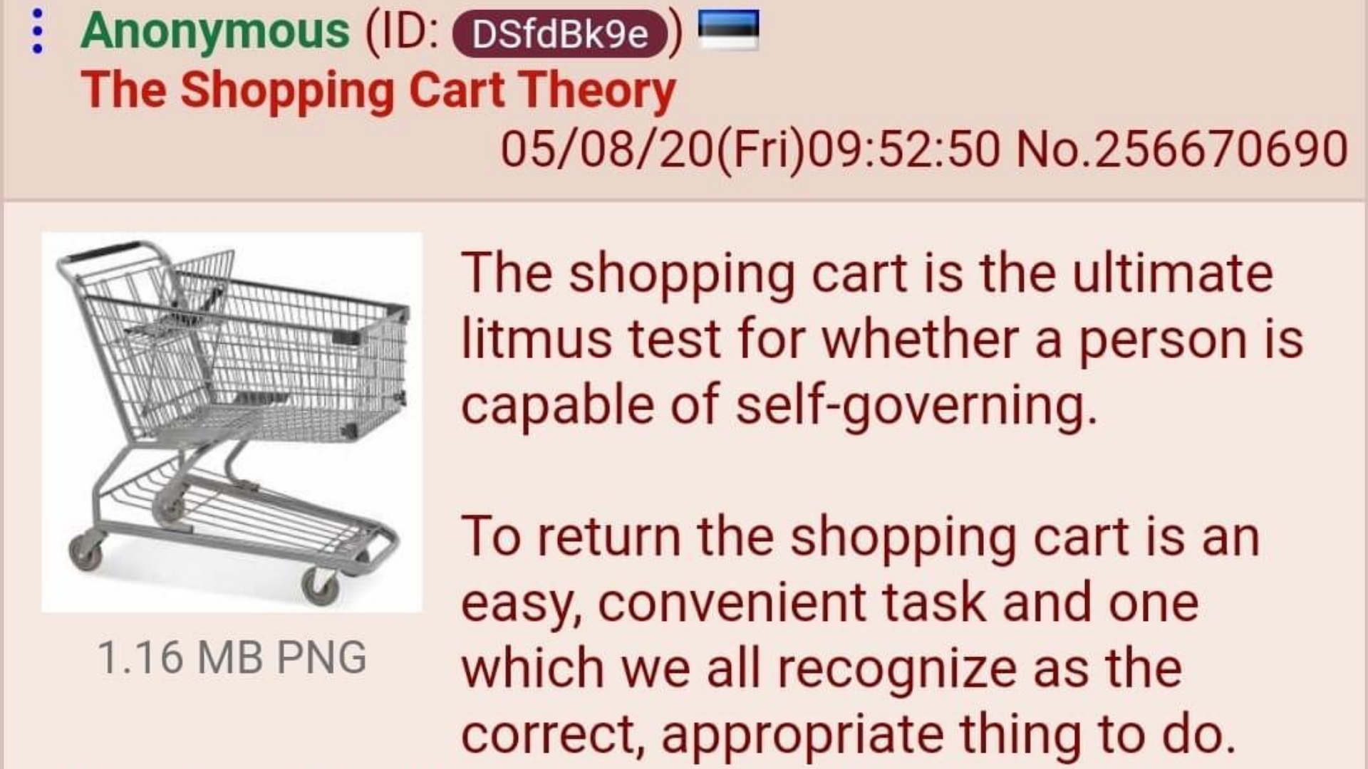 The Shopping Cart Theory