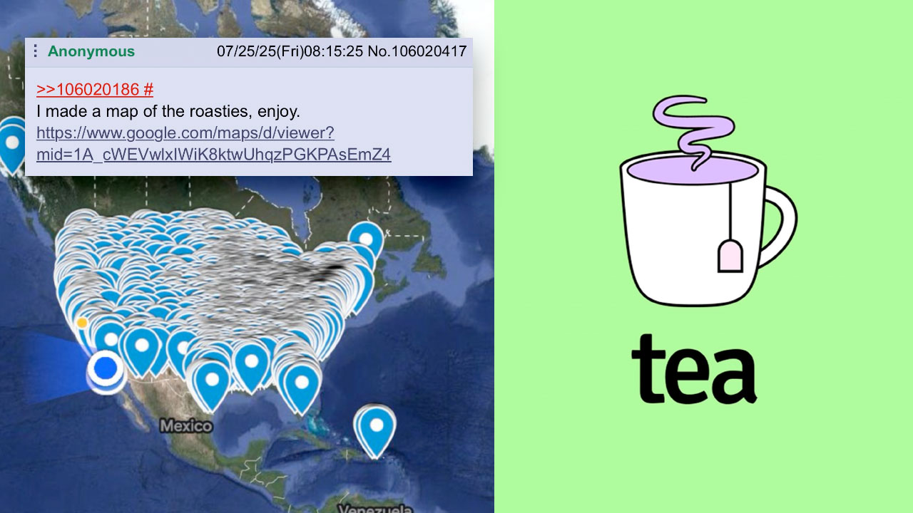 The Tea App Data Leak