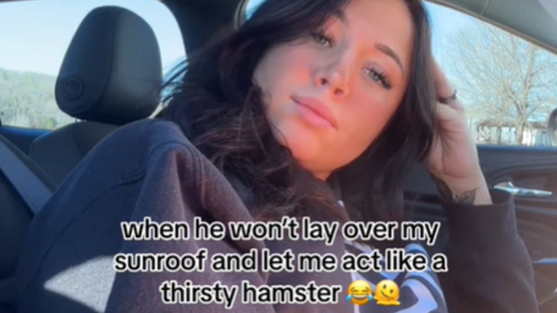 The Thirsty Hamster Sunroof Thing / Hamstering Meme Template
