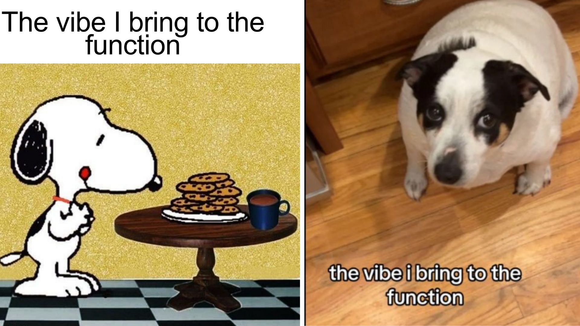 The Vibe I Bring To The Function