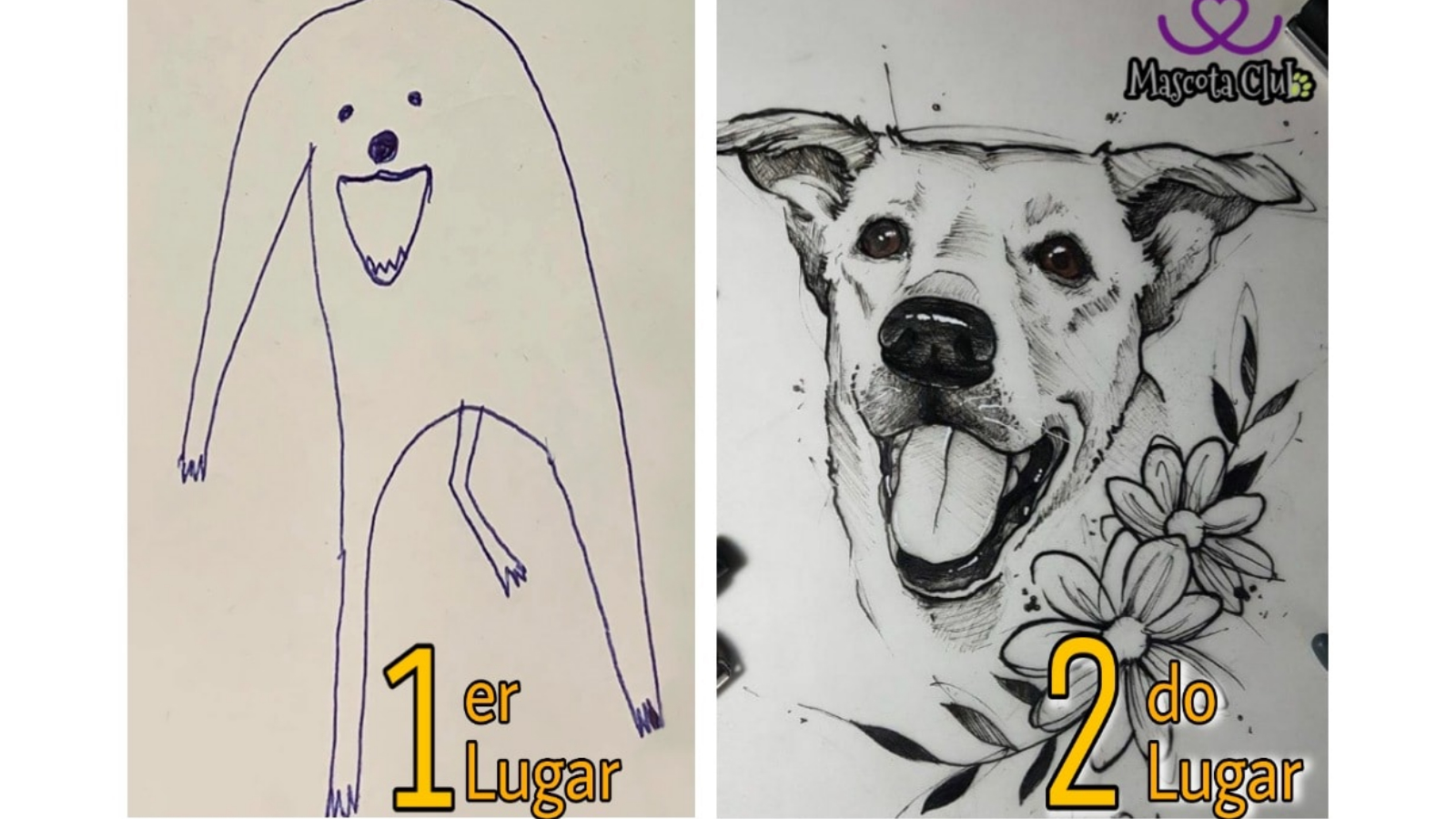 The Winner of This Contest Was Chosen Through Likes