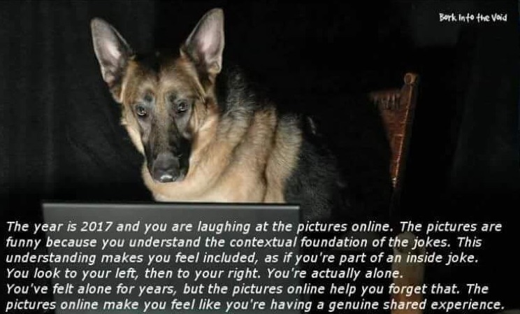 The Year Is 2016 And You Are Laughing At The Pictures Online Meme Template