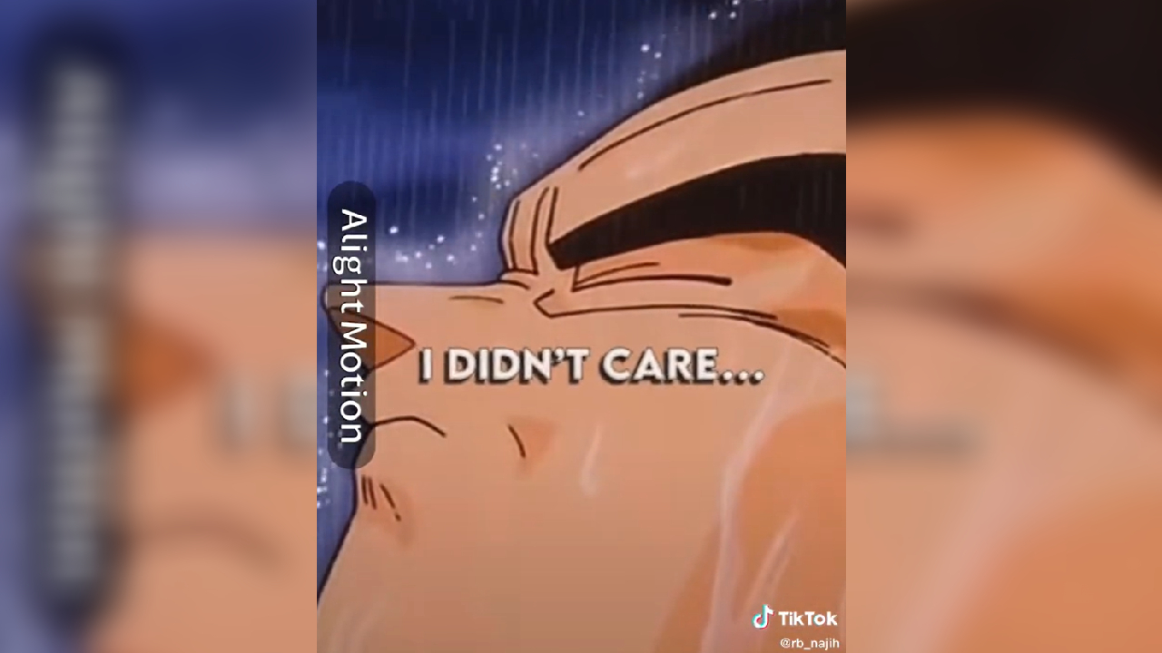 Then Something Just Snapped / Prince Vegeta TikTok Trend Meme Template
